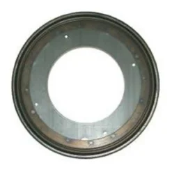 Lazy Susan Bearing