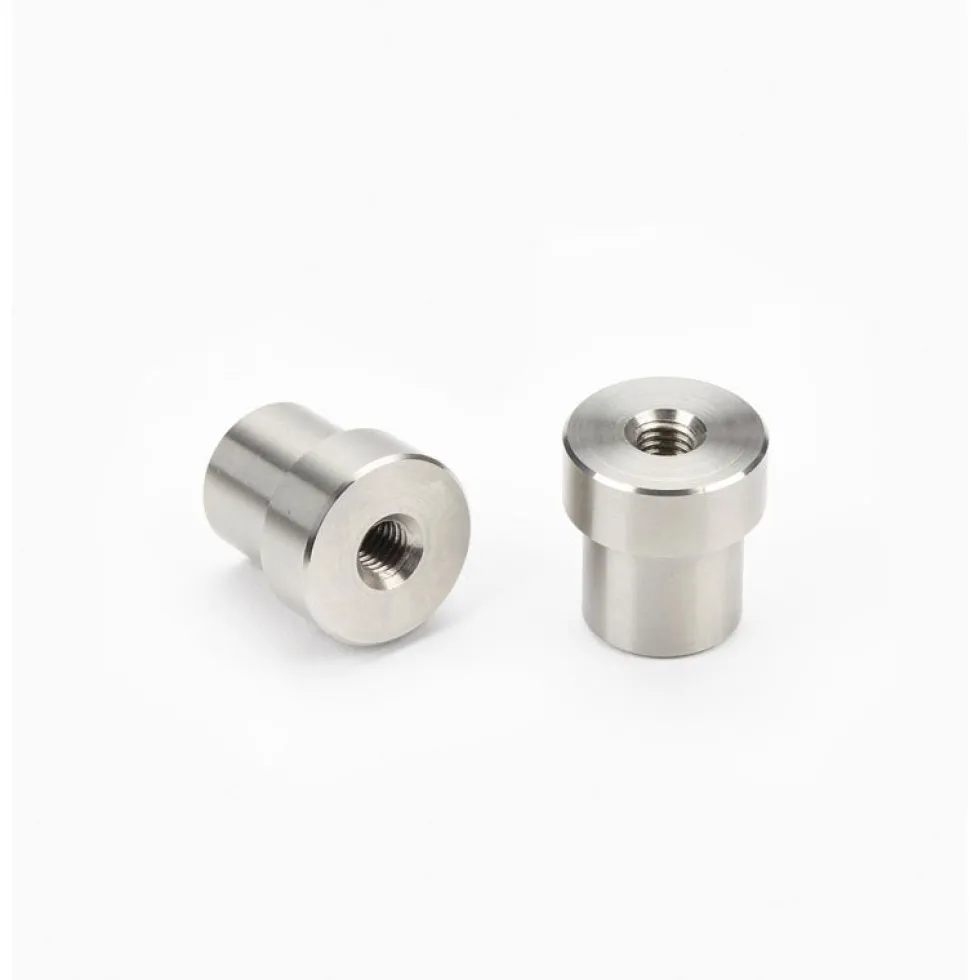 Veritas Stainless-Steel Dogs - Pack of 2